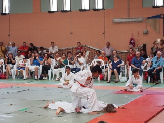 Image description